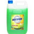 DISHWASHING DETERGENT NORTHFORK LIQUID 5 LITRE 5L