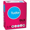 TUDOR DLX ENVELOPES SECRETIVE WALLET PLAINFACE STRIP SEAL 80GSM 120 X 235MM BOX 500