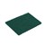 GREEN SCOURER 23CM X 15CM 10PK
